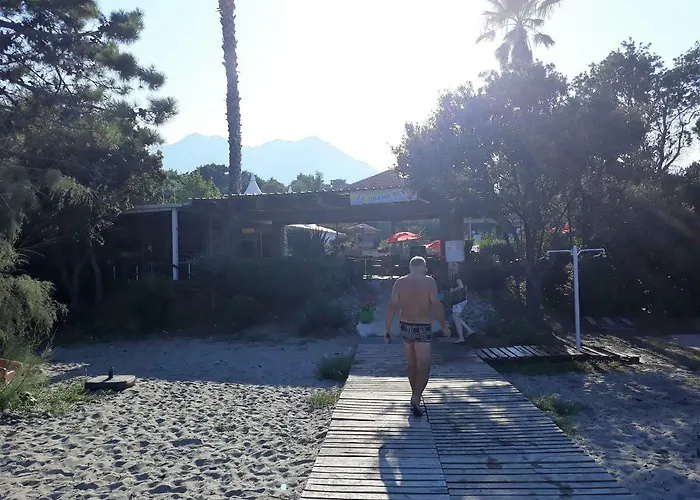 公寓 Les Pieds Dans L'eau Les Marines De 4 Couchages 莫里亚尼海滩