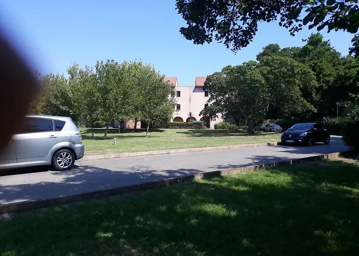 Les Pieds Dans L'eau Les Marines De 4 Couchages 公寓 莫里亚尼海滩