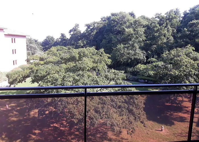 Les Pieds Dans L'eau Les Marines De 4 Couchages 公寓 莫里亚尼海滩